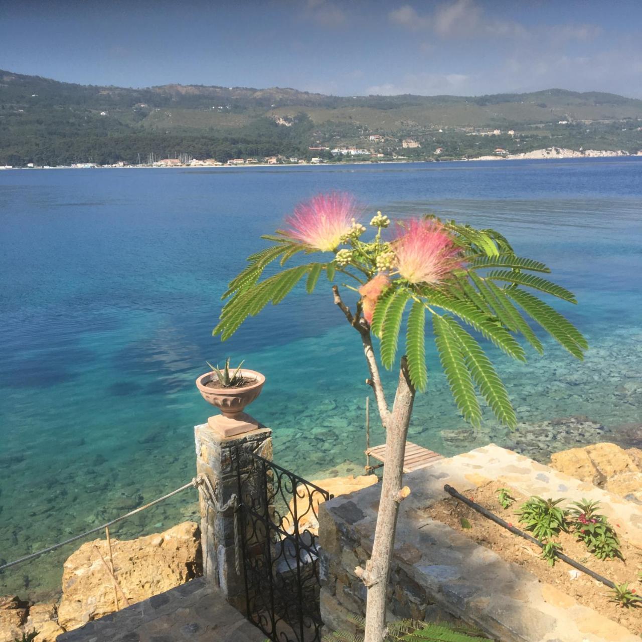 Roditses Beach Sea Front Apartments Đảo Samos Ngoại thất bức ảnh