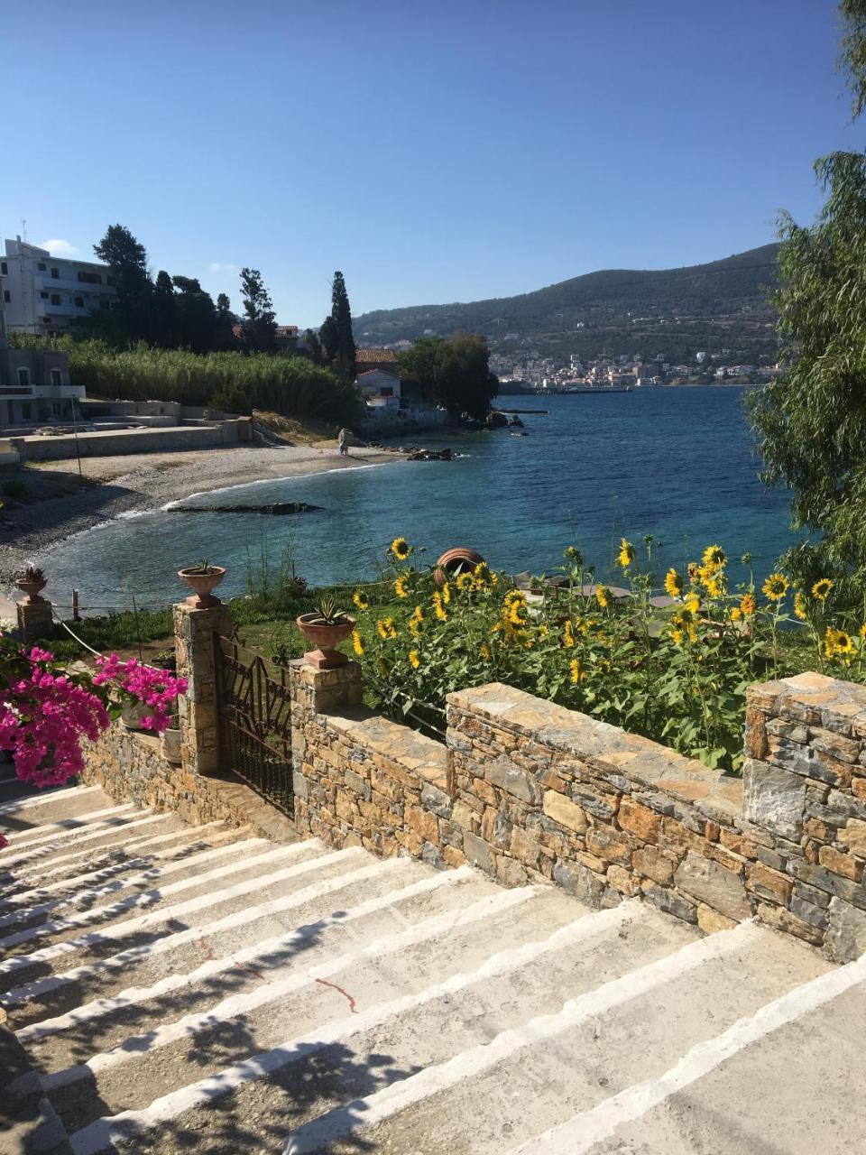 Roditses Beach Sea Front Apartments Đảo Samos Ngoại thất bức ảnh